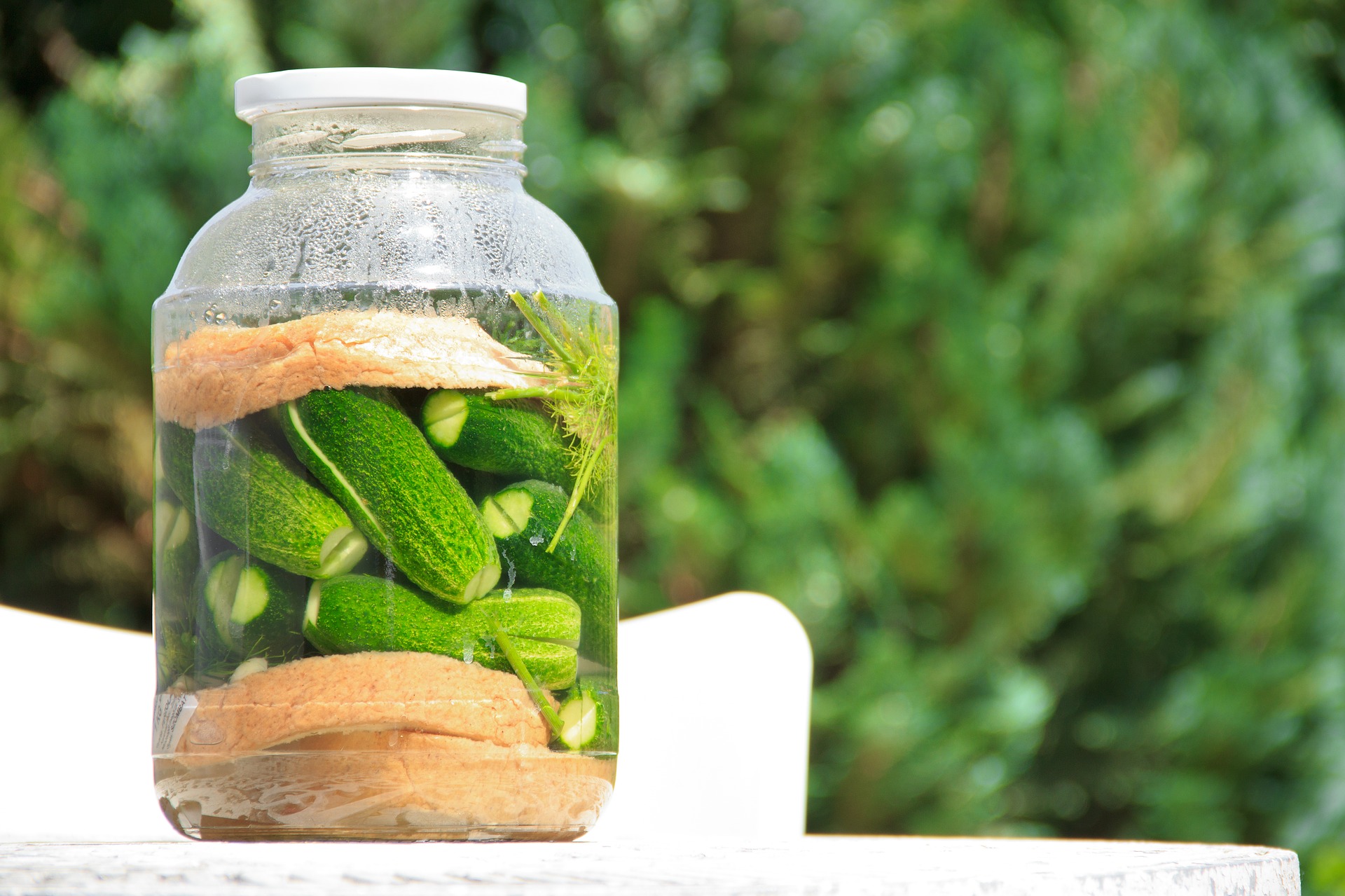 pickled-cucumber-1630906_1920